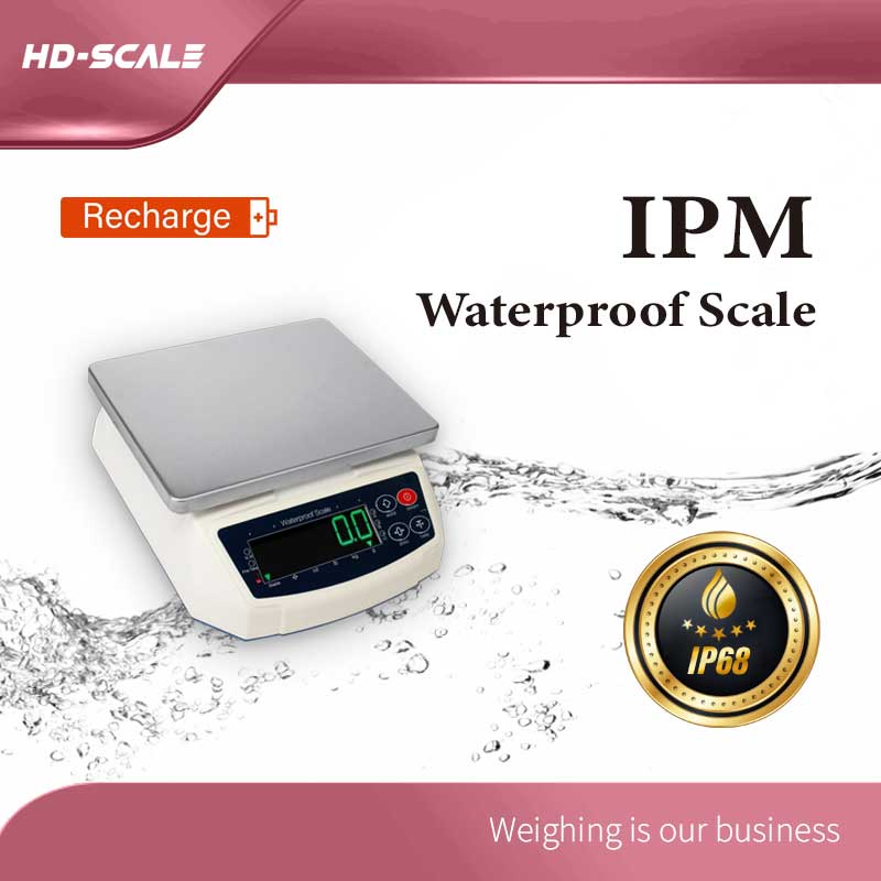 IPM 防水计重秤