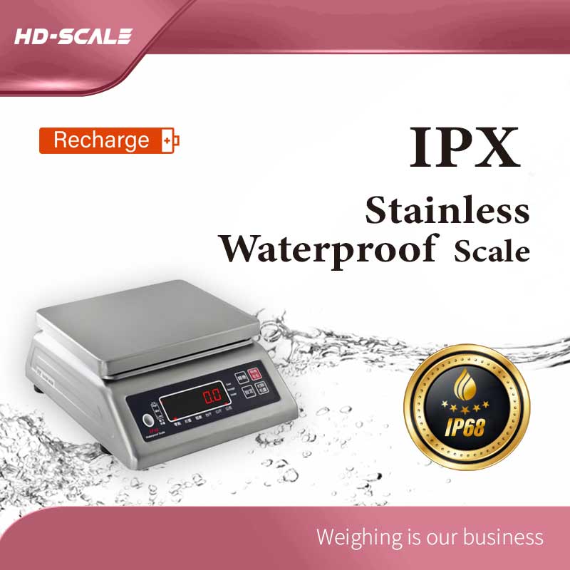 IPX 不锈钢防水秤