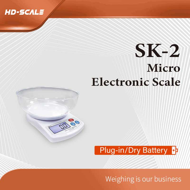 SK-2 Micro Electronic Scale