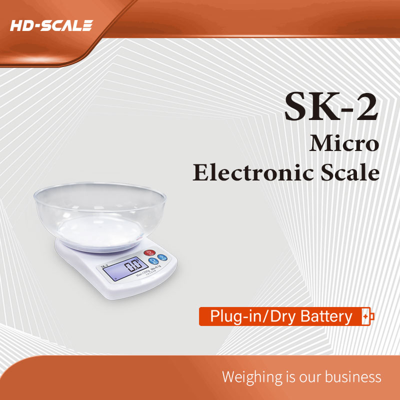 SK-2 Micro Electronic Scale