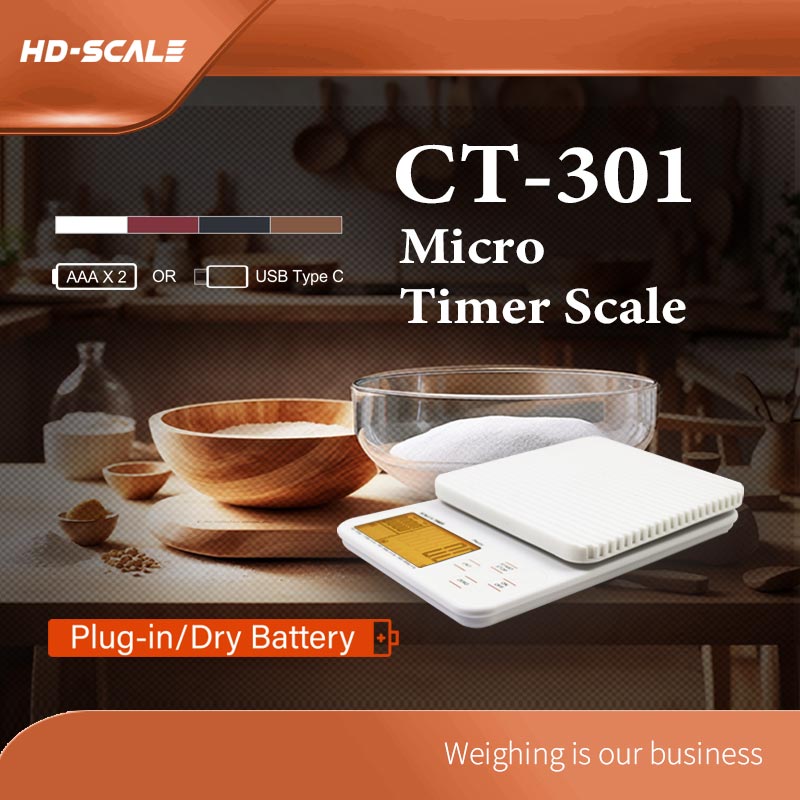 CT-301 Micro Electronic Scale