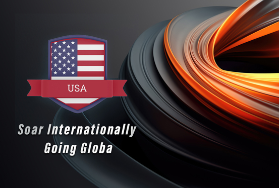 The international market in the United States.