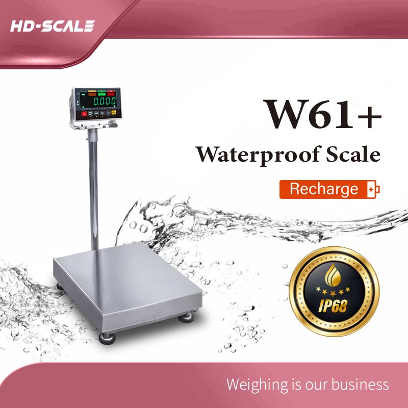 W61+Waterproof Scale